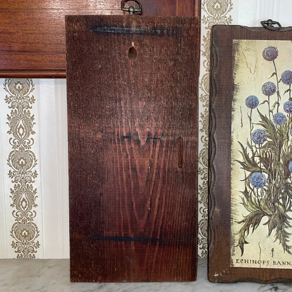 Blue Globe Thistle Echinops bannaticus | Vintage Botanical Decoupage Wood Plaque
